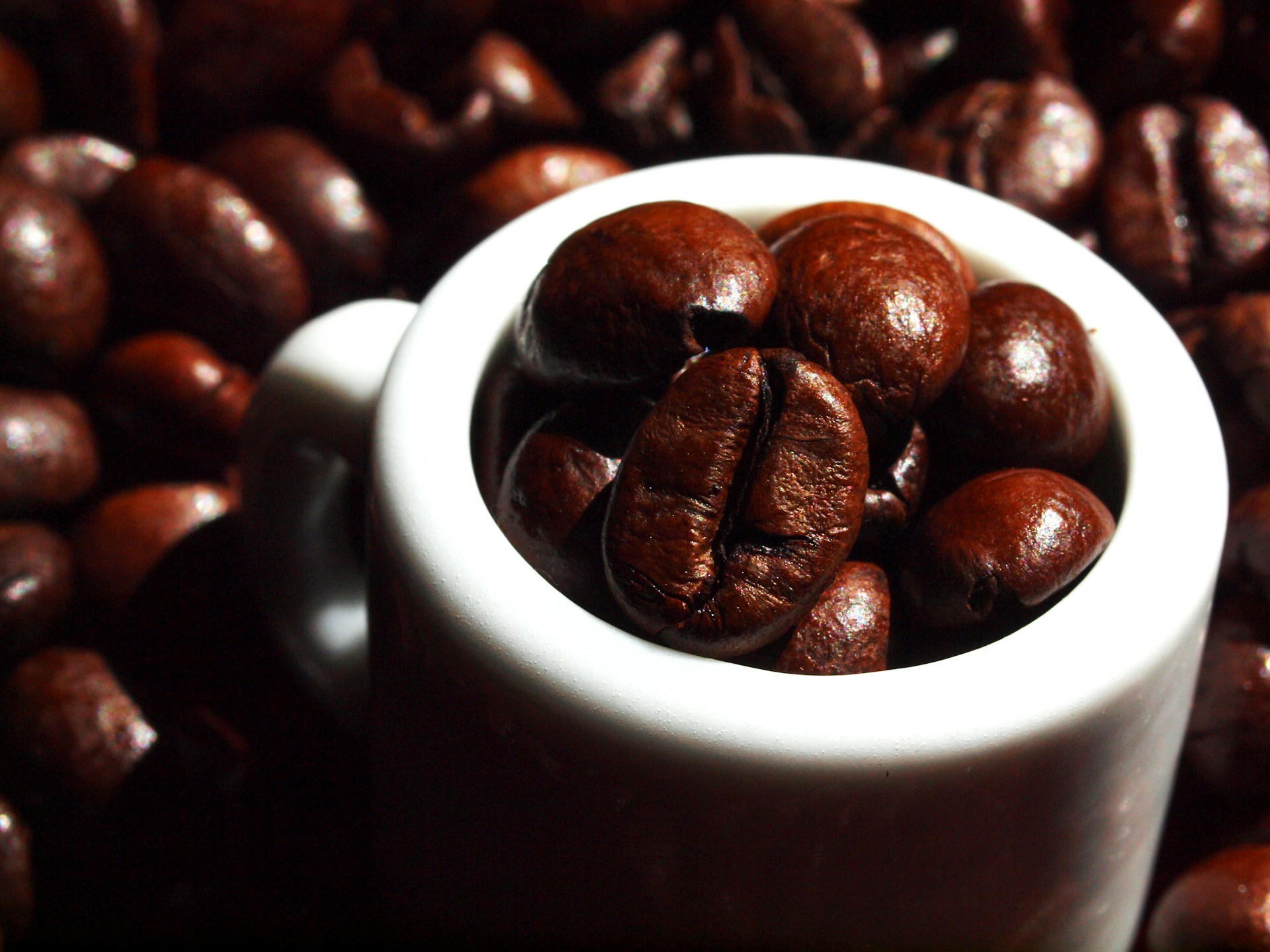 Roasted Coffee Beans